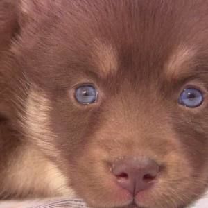 Meet your Posher, Melanie